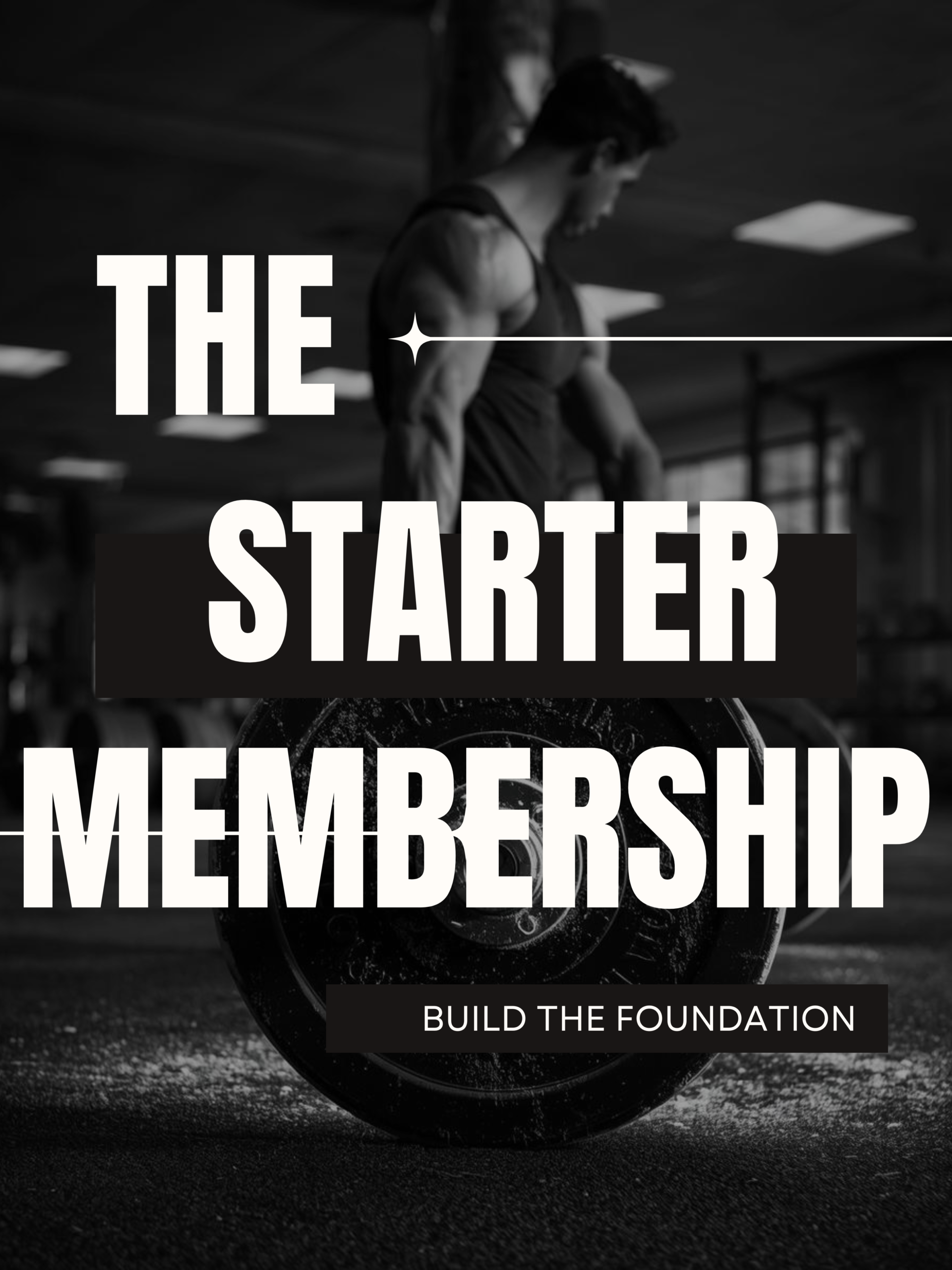 Starter Subscription